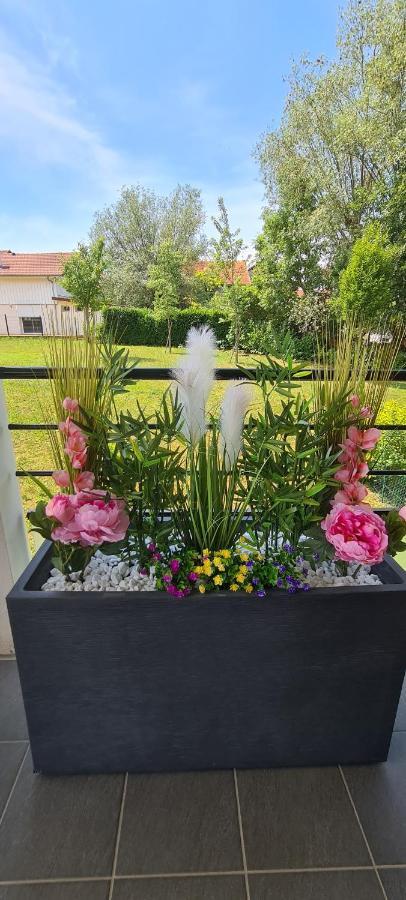 Le Cocon Du Leman Apartment Viry  Bagian luar foto