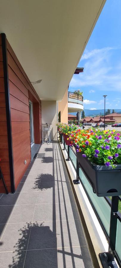 Le Cocon Du Leman Apartment Viry  Bagian luar foto