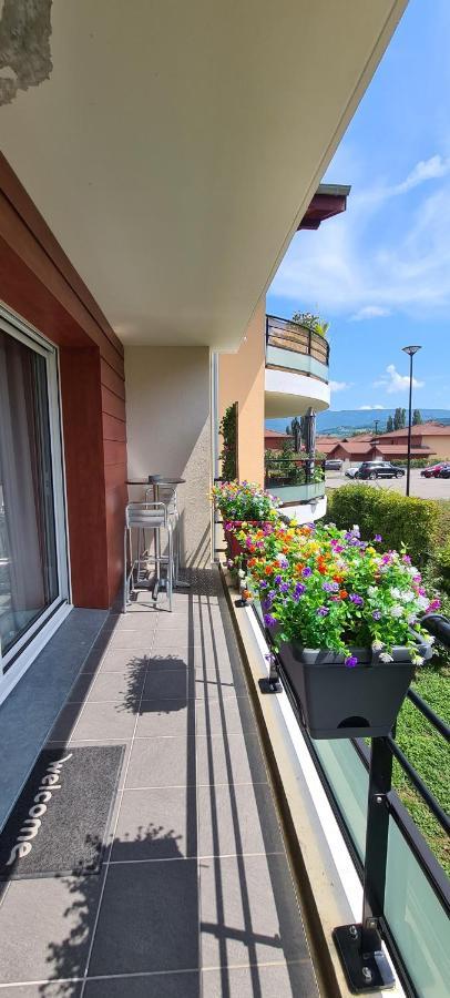 Le Cocon Du Leman Apartment Viry  Bagian luar foto