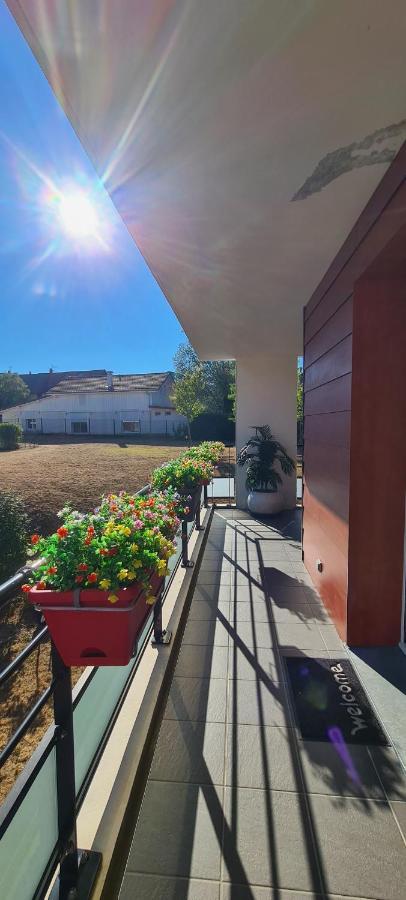 Le Cocon Du Leman Apartment Viry  Bagian luar foto
